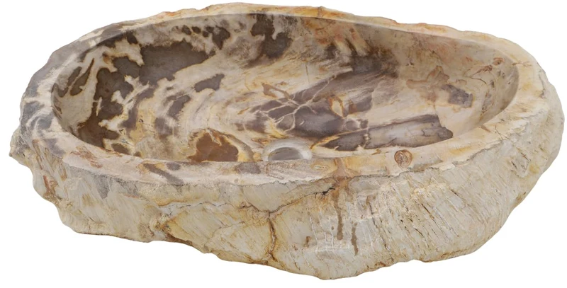 GURU SHOP Massives Fossiles Holz Aufsatz-Waschbecken, Waschschale, Naturstein Handwaschbecken - Mode