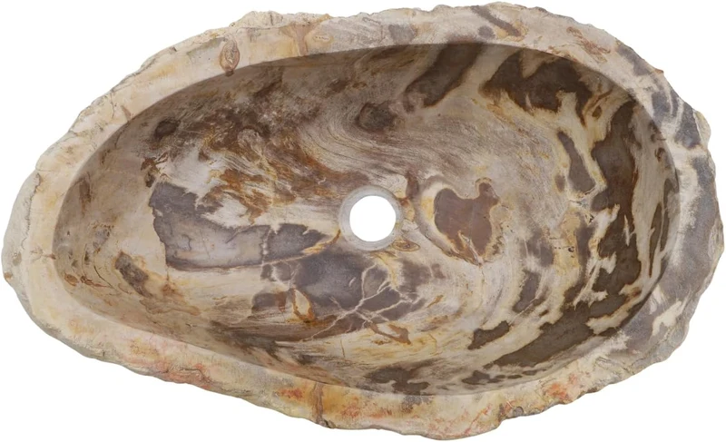 GURU SHOP Massives Fossiles Holz Aufsatz-Waschbecken, Waschschale, Naturstein Handwaschbecken - Mode