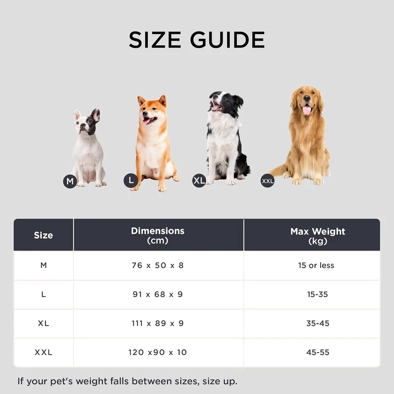 BEDSURE Hundekissen kleine Hunde waschbar - 76x50cm hundematratze wasserdicht M für kleine, mittelgr