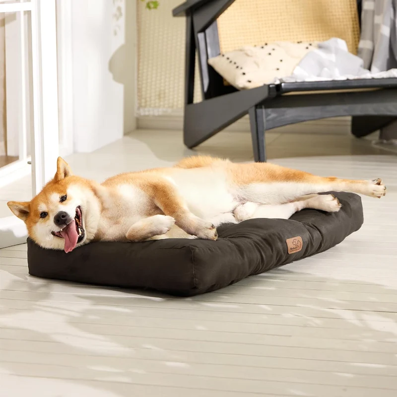 BEDSURE Hundekissen kleine Hunde waschbar - 76x50cm hundematratze wasserdicht M für kleine, mittelgr