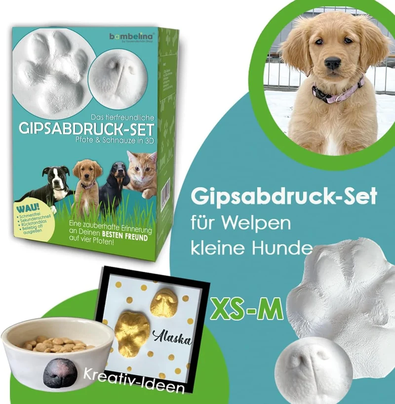 bambelina® Gipsabdruck Set Hundepfote und Hundenase. Verewigen Sie die Pfote + Schnauze vom Hund in