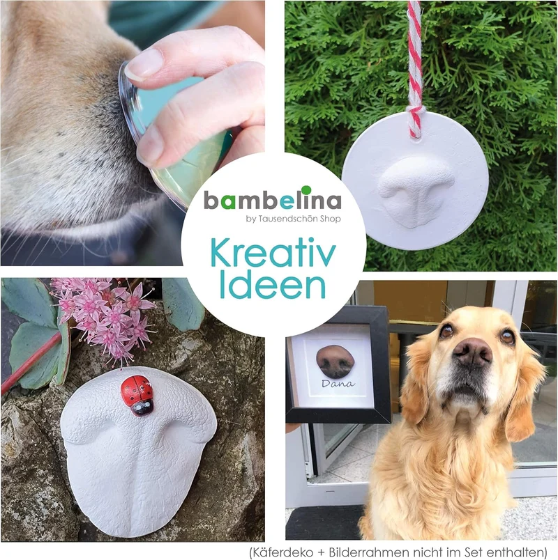 bambelina® Gipsabdruck Set Hundepfote und Hundenase. Verewigen Sie die Pfote + Schnauze vom Hund in
