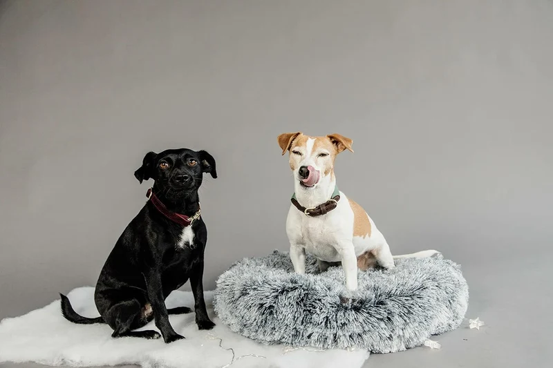 Kentucky Hundebett Comfort Donut Grösse S, Farbe grau