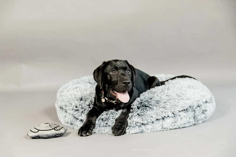Kentucky Hundebett Comfort Donut Grösse S, Farbe grau