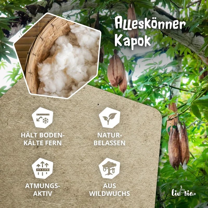 livasia Rückenstützkissen einfarbig, Dreieckskissen für Garten und Balkon, Keilkissen mit Kapok, han