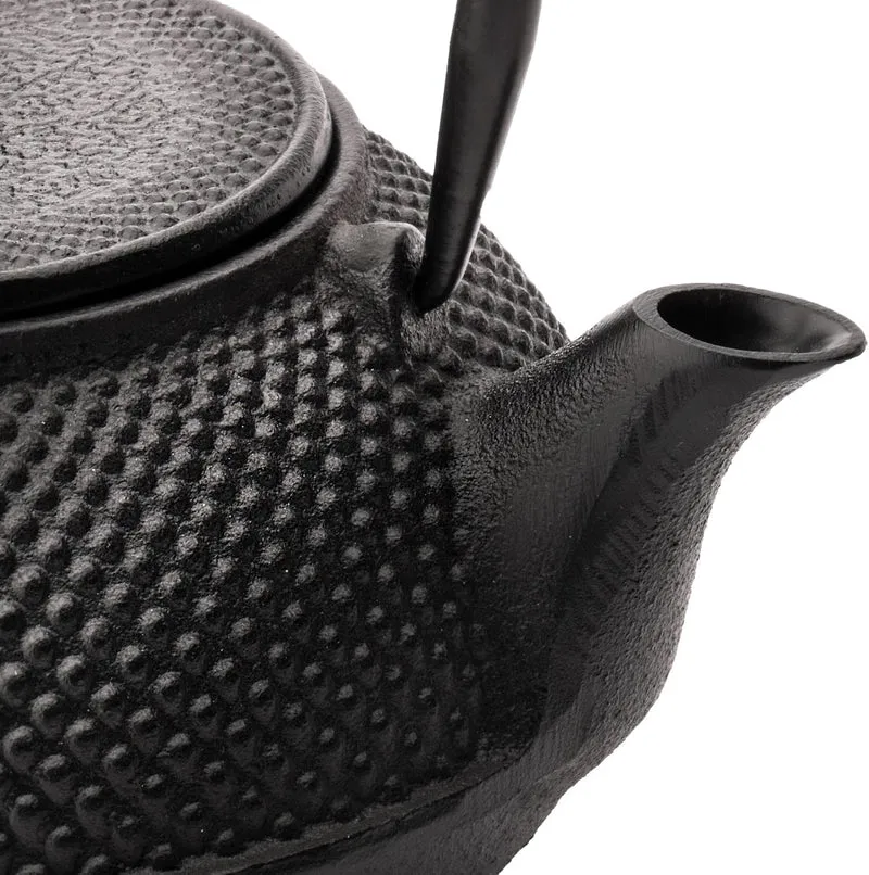 Teekanne asiatisch Gusseisen Set schwarz 0.8 Liter Teekessel mit Henkel & Edelstahl Tee-Filter-Sieb-