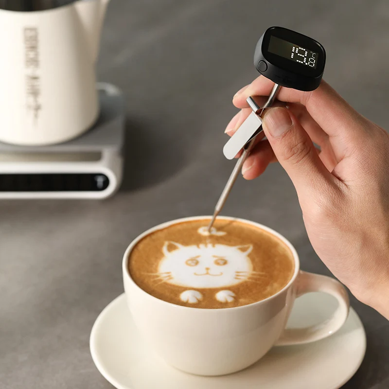 MHW-3BOMBER Portable LCD Digital Thermometer