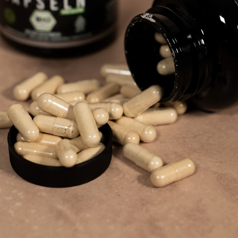 Kikis Ashwagandha Kapseln BIO
